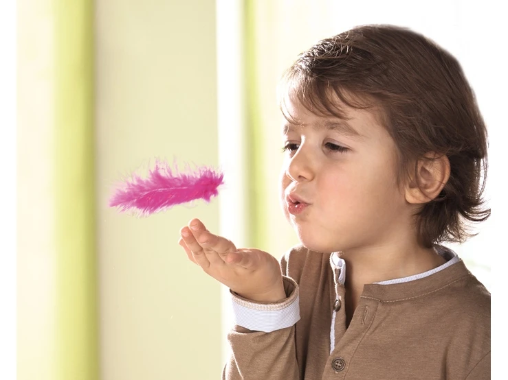 Vliegende Veren - Afbeelding 4