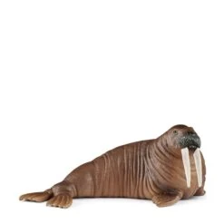 Schleich 14803 Walrus WildLife